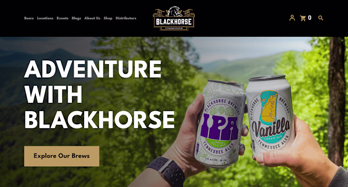 Wordpress Development Project