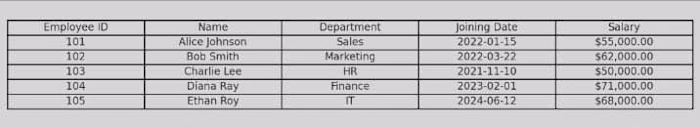 Sample Excel Data Entry & Formatting