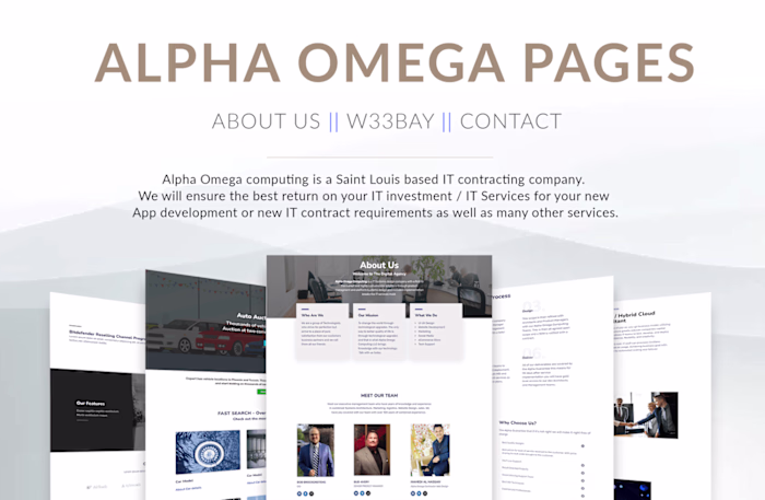 Website for "Alpha Omega Computing LLC"