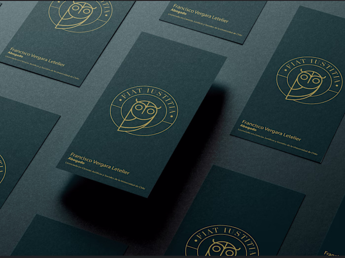 Francisco Vergara L. | Visual identity