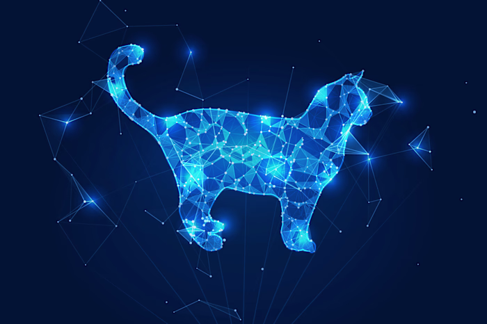 Mars Petcare’s Digital Transformation Story