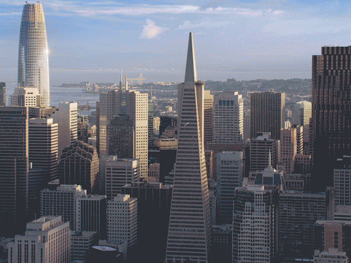 Animated Logo Concept