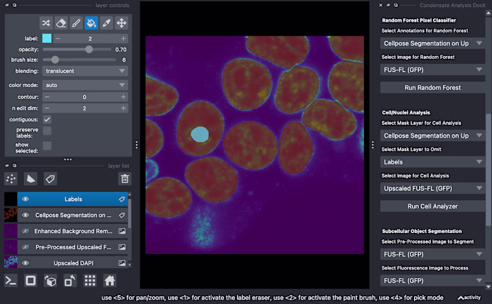 PyCAT-Napari Bio-image Analysis Platform
