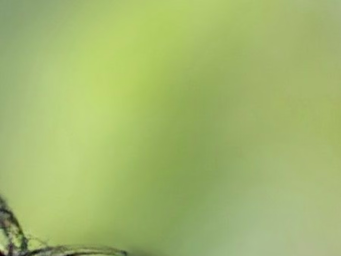 GitHub - 0xDevvvvv/DBMSProject: Library Management System