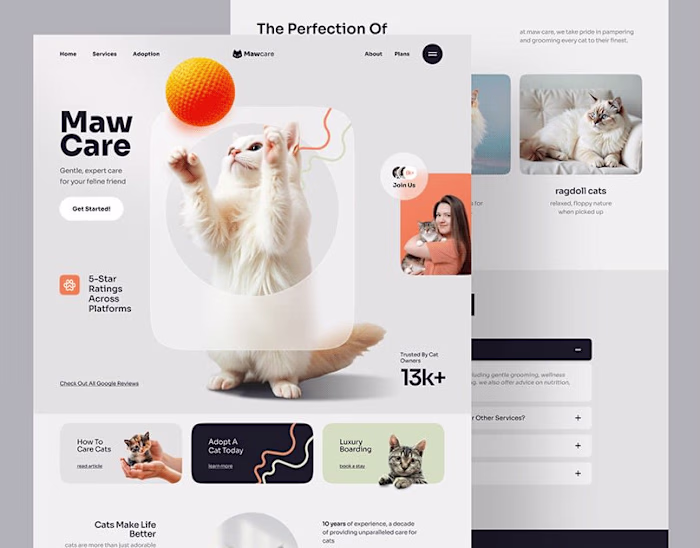 A modern and playful landing page design for a premium cat c...