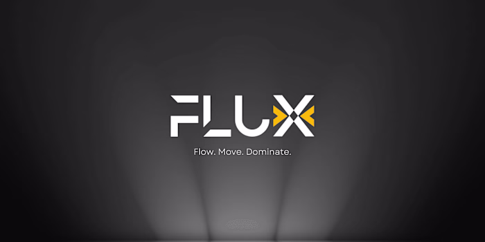 Flux (Fast Fashion Brand Identity)