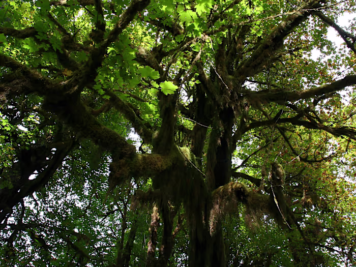 Caroline Jackson on LinkedIn: MA sample