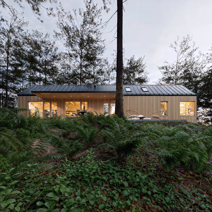 Forest House Architecture Concept and Visualization