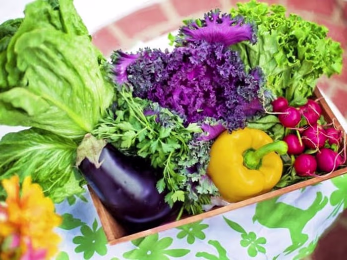 Perishables, the Cold Chain, and the FDA 