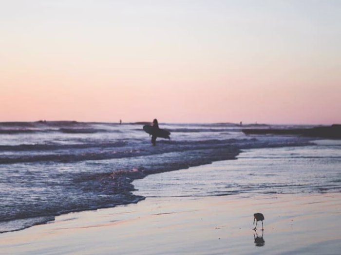 You are not a special flower - Farrah Haidar - Atlanta Creative…