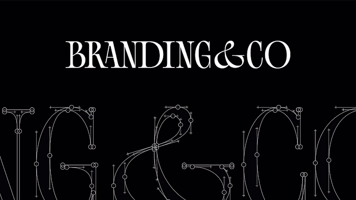 Branding & Co. Identity Redesign