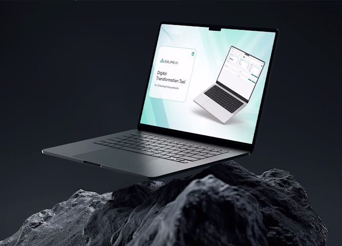 Sales Presentation design for accounting software