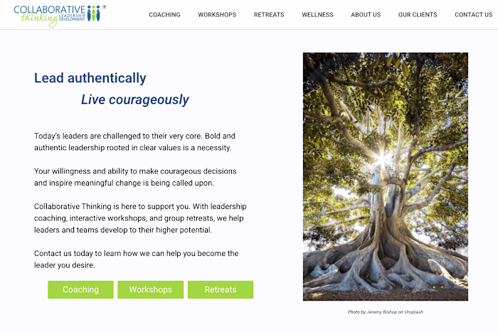 Collaborative Thinking Leadership WordPress development
