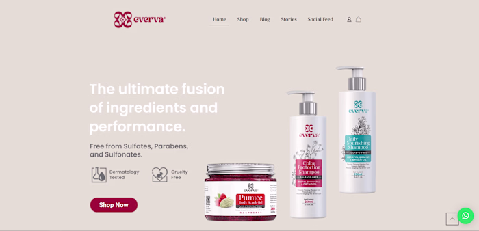 Everva - WordPress Website