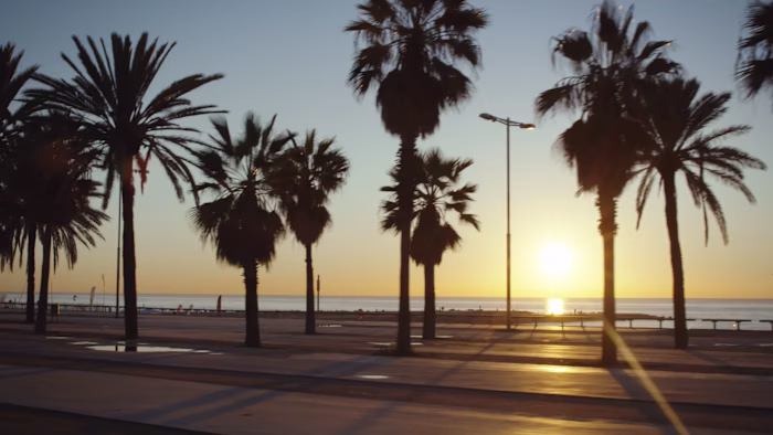 Primark Kids Workout