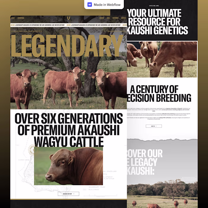 Legendary Akaushi - Figma to Webflow