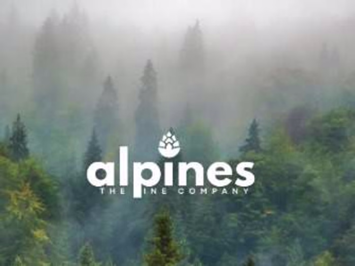 Sustainable Startup Pitch Deck