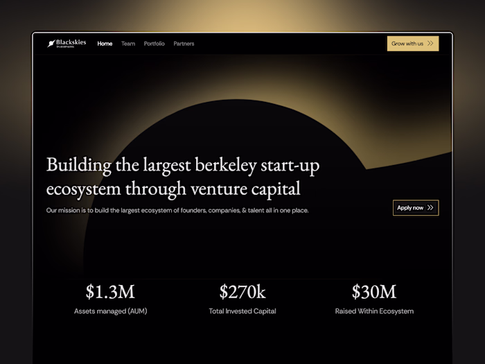 Blackskies Investment Website Development