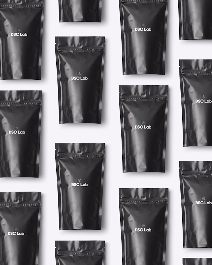 DSC Lab - Web Design & Brand Identity