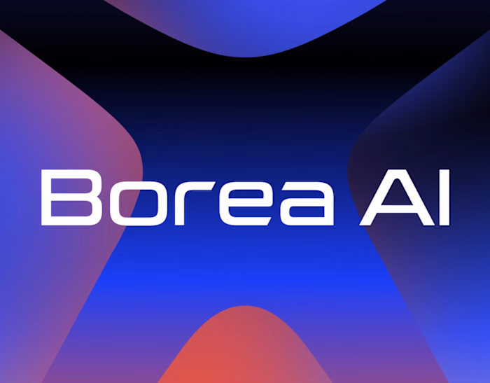Borea AI - Brand Identity Design