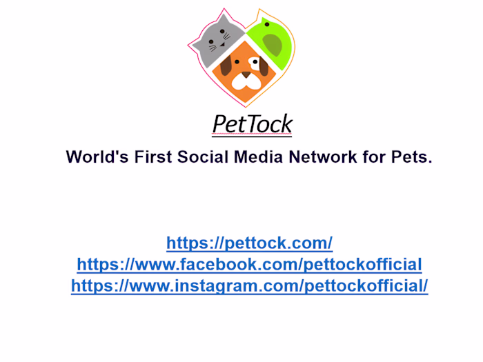 Designed a Pitch Deck for Pettock, a Social Platform for Pets