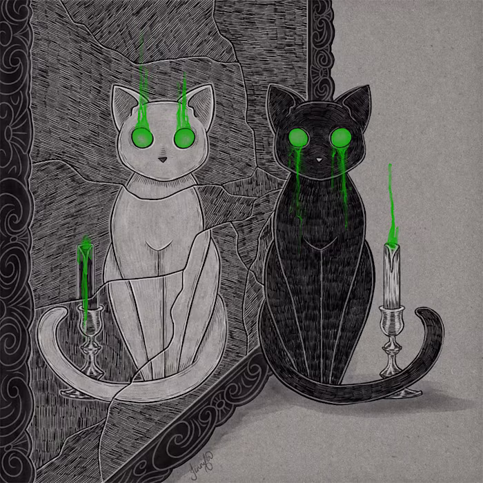 A Selection of Illustrations