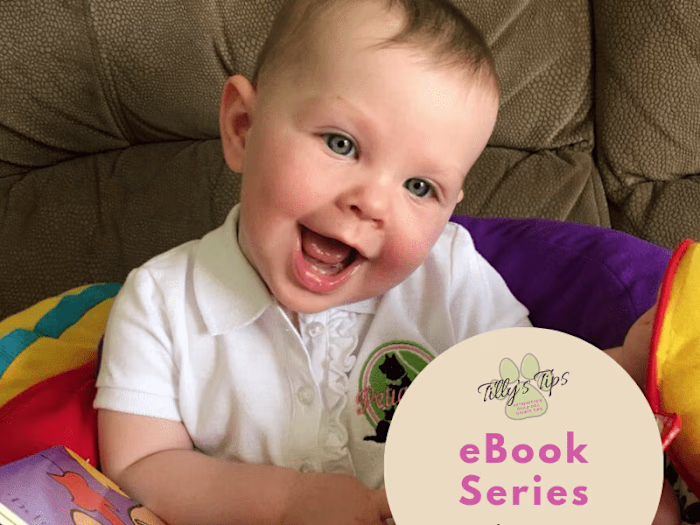 Force-free Dog Training eBook