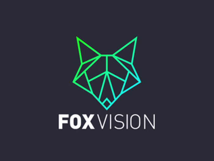 Fox Vision - Branding