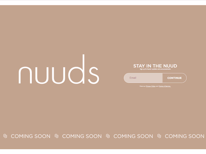 Nuuds UX Copywriting