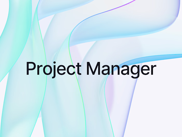 Project Manager