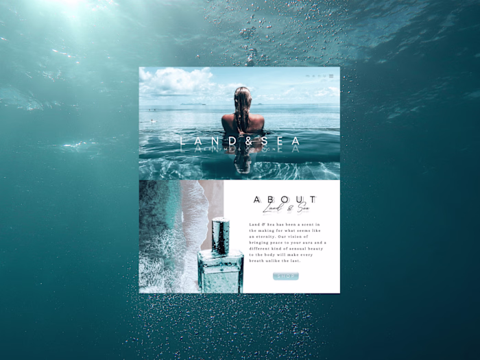 Website Design — Brand Design