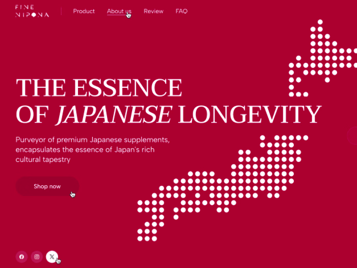 Fine Nipona | Web Design