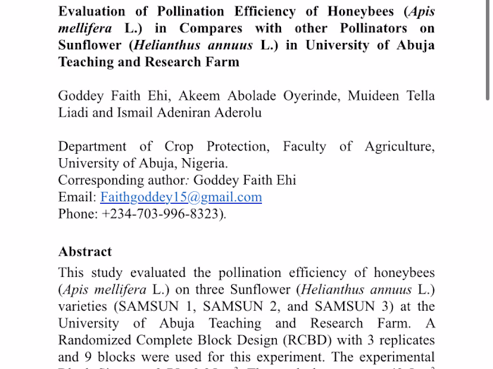 Proofreading for your documents, books or essays.