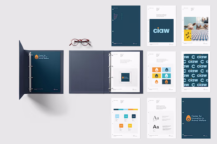 CIAW Brand Identity 