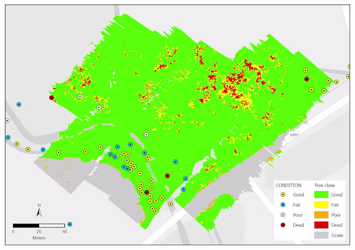 Forest health assessment using GEOBIA