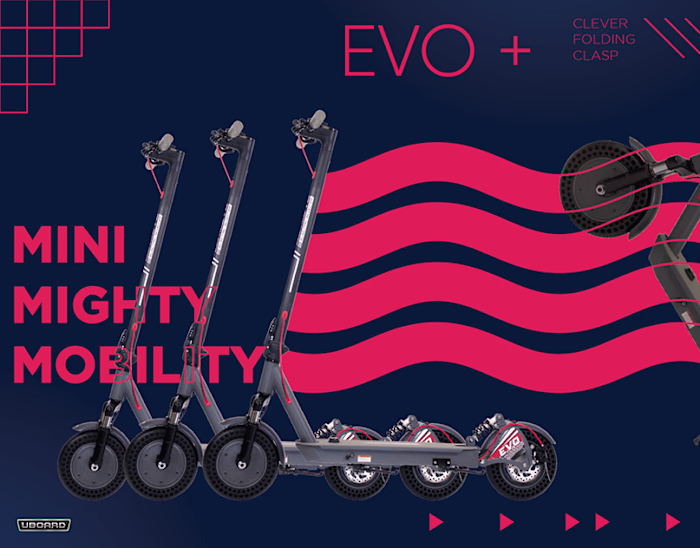 Infographic for a E-Bike brand 