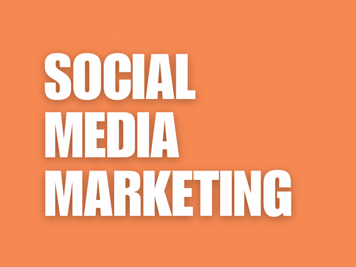 Comprehensive Social Media Marketing and Management