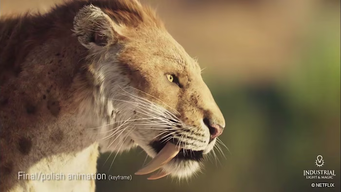 Life on our Planet, Netflix series