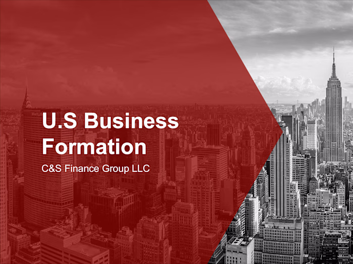U.S Business Formation
