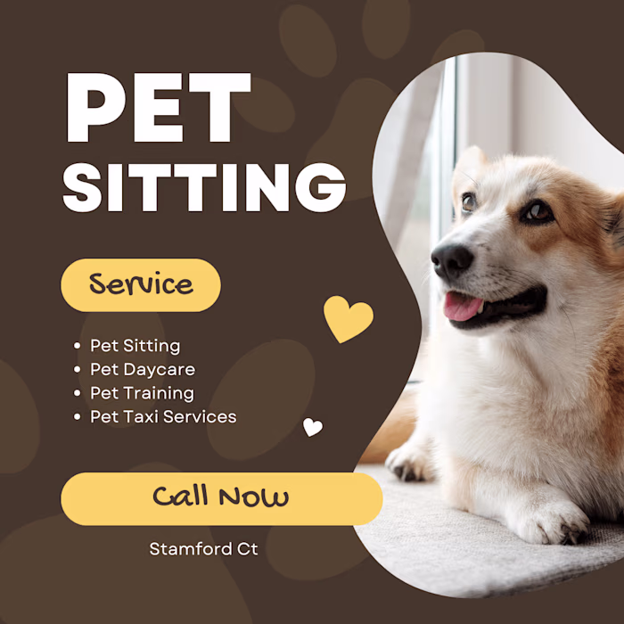 Pet Sitting Service Marketing campaign  