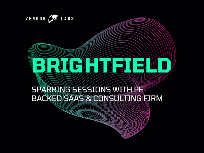 Accelerating Brightfield Group: Sparring Sessions with CEO