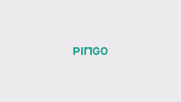 One of the first branding concepts for https://ridepingo.com...