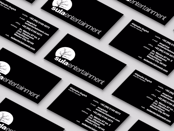 Sula Entertainment_ Branding