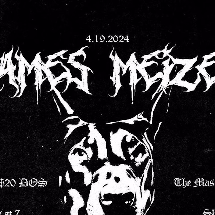 Madison Cyr on Instagram: “a poster i did for my band in photos…