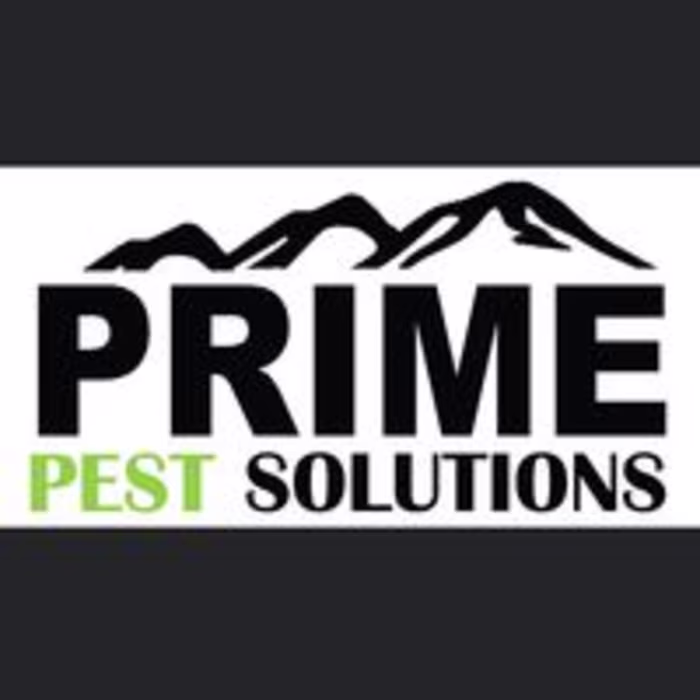 Prime Pest Solutions- Social Media Management 