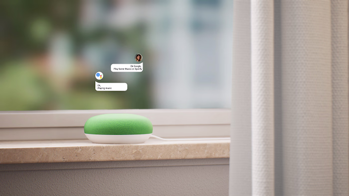 Google Nest Mini