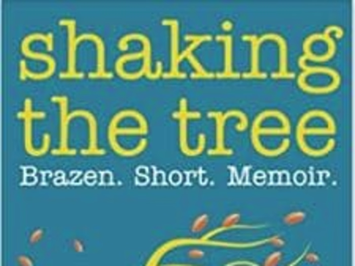 Shaking the Tree: Brazen. Short. Memoir. (Volume 3): I Didn’t S…