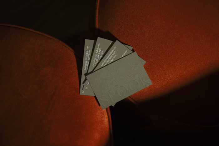 Branding and website for Spook