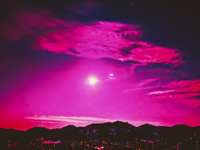 The Pink Camera Art Project