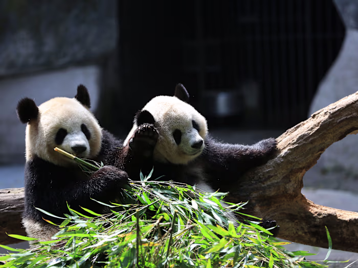 Author @LearnDataSci